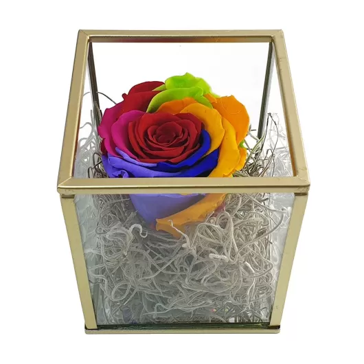 Γυάλινος Κύβος Με Παντοτινό Τριαντάφυλλο Rainbow | Aποχυμωμένα Τριαντάφυλλα σε Γυάλινη Καμπάνα στο Stosfiri.gr
